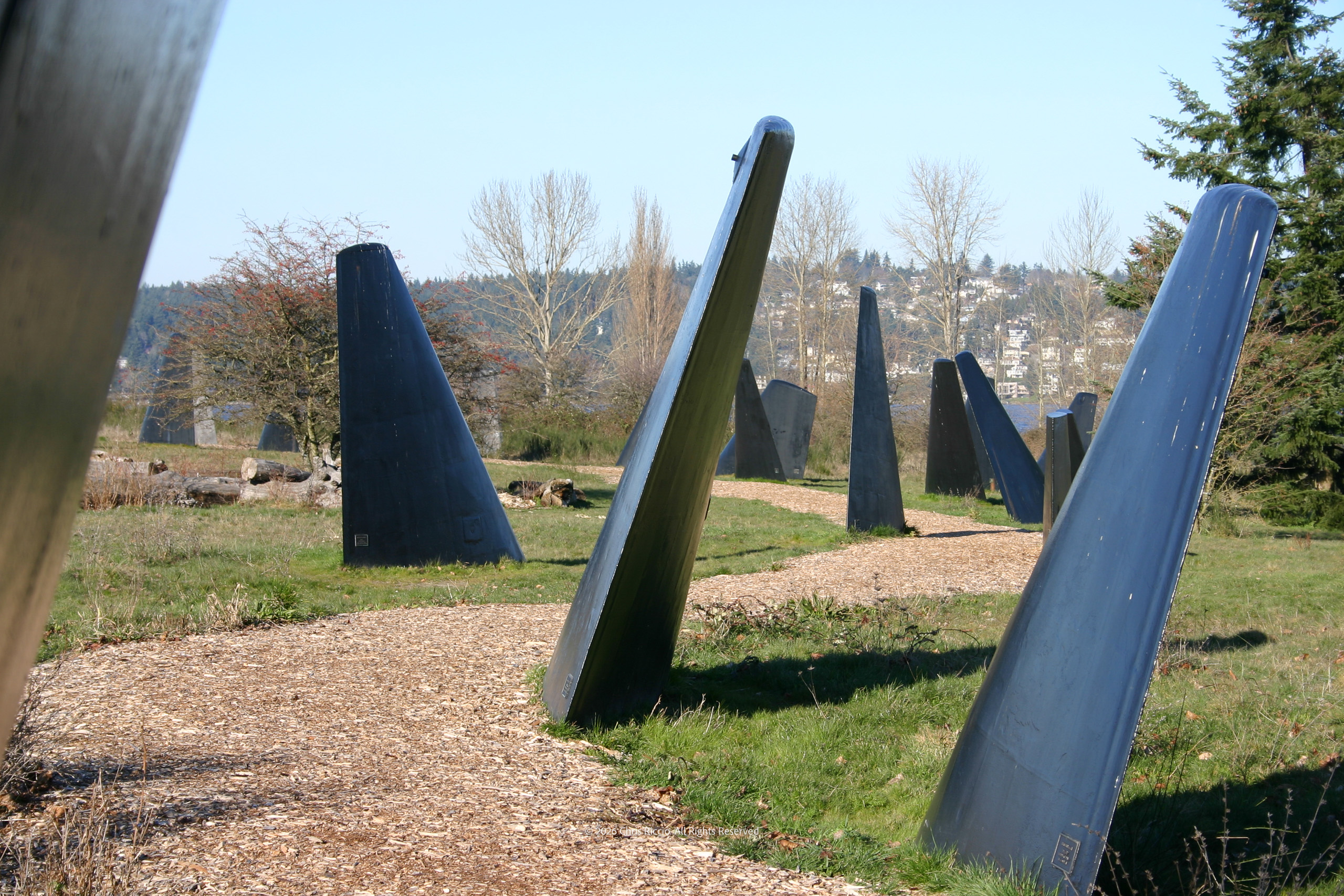 Fin Art Project at Magnuson Park